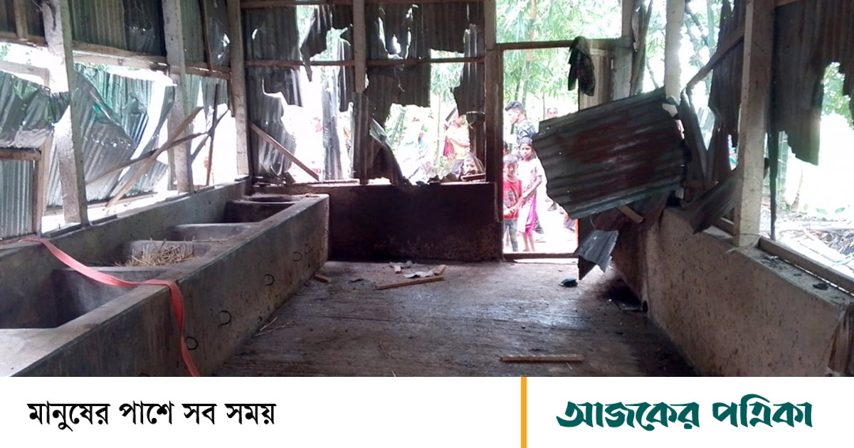 পীরগাছায় বাড়িঘরে তাণ্ডব ও গরু লুট, মাংস দিয়ে ভূরিভোজের অভিযোগ