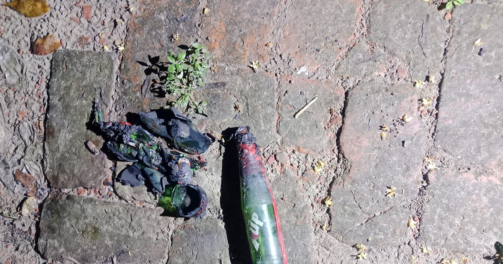 কাপাসিয়ায় যুবদল নেতার বাড়িতে পেট্রলবোমা হামলা, রক্ষা পেল পরিবার