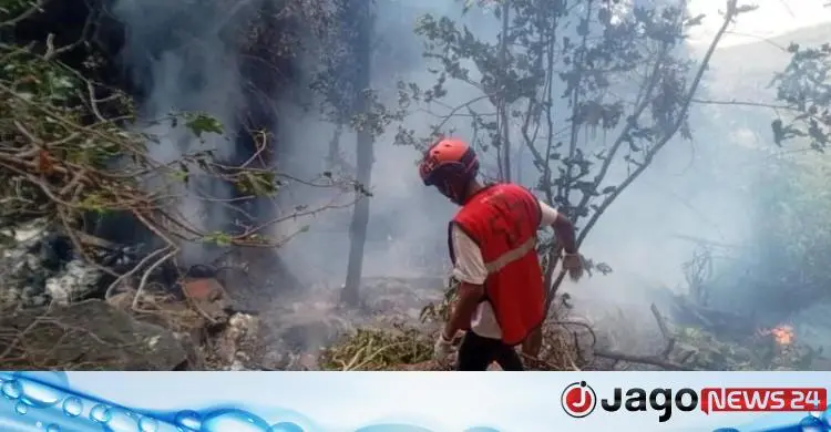 কেনিয়ায় হেলিকপ্টার বিধ্বস্তে ইকুয়েডর গোয়েন্দাপ্রধান ও স্ত্রী নিহত