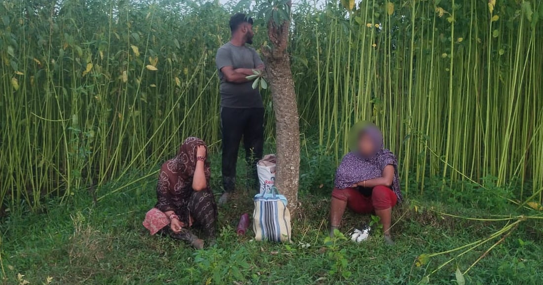 চুয়াডাঙ্গা সীমান্তে ৩ জনকে ঠেলে পাঠানোর বিএসএফের চেষ্টা ব্যর্থ করল বিজিবি
