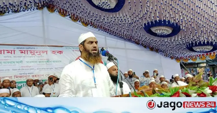 গণভোট অবৈধ হলে বর্তমান সরকারও অবৈধ: মামুনুল হক
